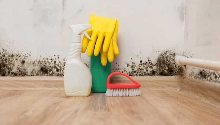 We offer fast and reliable services to help remove and prevent mold growth in your home or business in Cleveland, Ohio