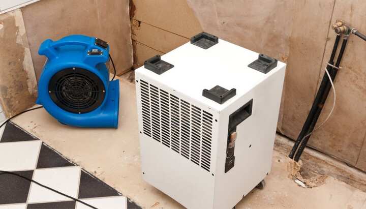 When it comes to mold damage in Cleveland, Ohio, you want to ensure the health and safety of your family and home.