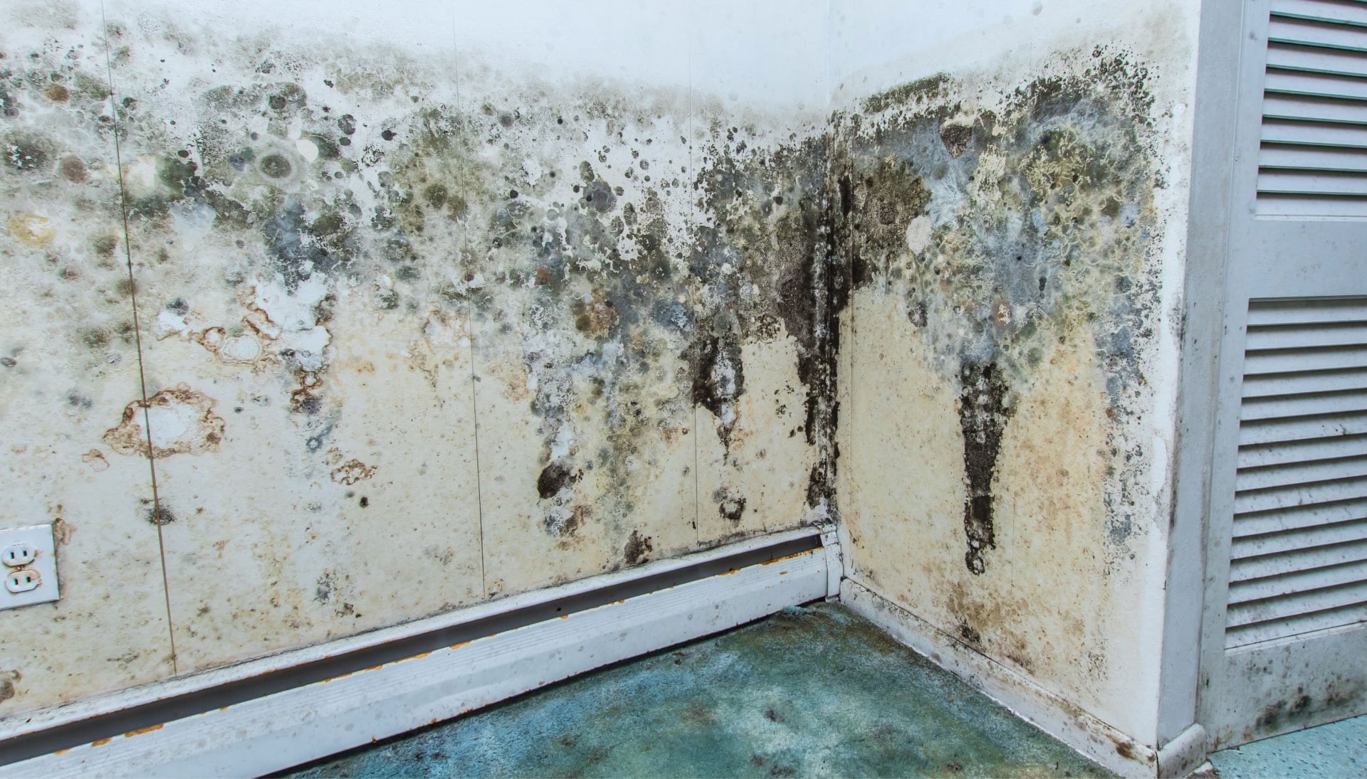Professional mold removal, odor control, and water damage restoration service in Cleveland, Ohio.