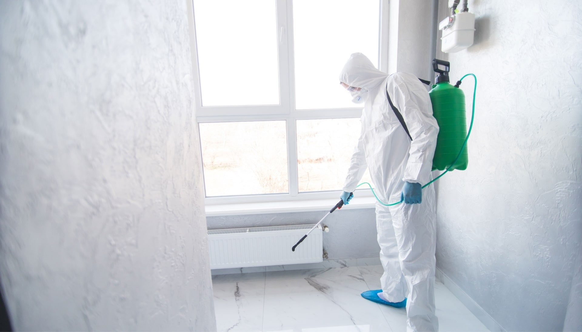We provide the highest-quality mold inspection, testing, and removal services in the Cleveland, Ohio area.