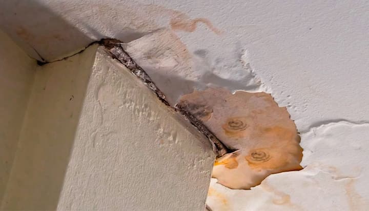We use the latest techniques for water damage mold removal in Cleveland, Ohio.